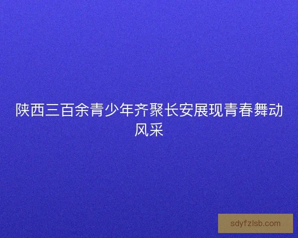 陕西三百余青少年齐聚长安展现青春舞动风采